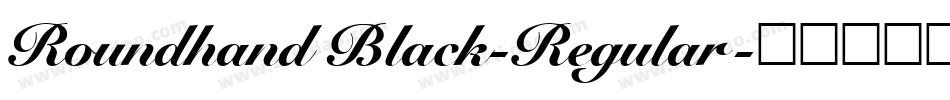Roundhand Black-Regular字体转换